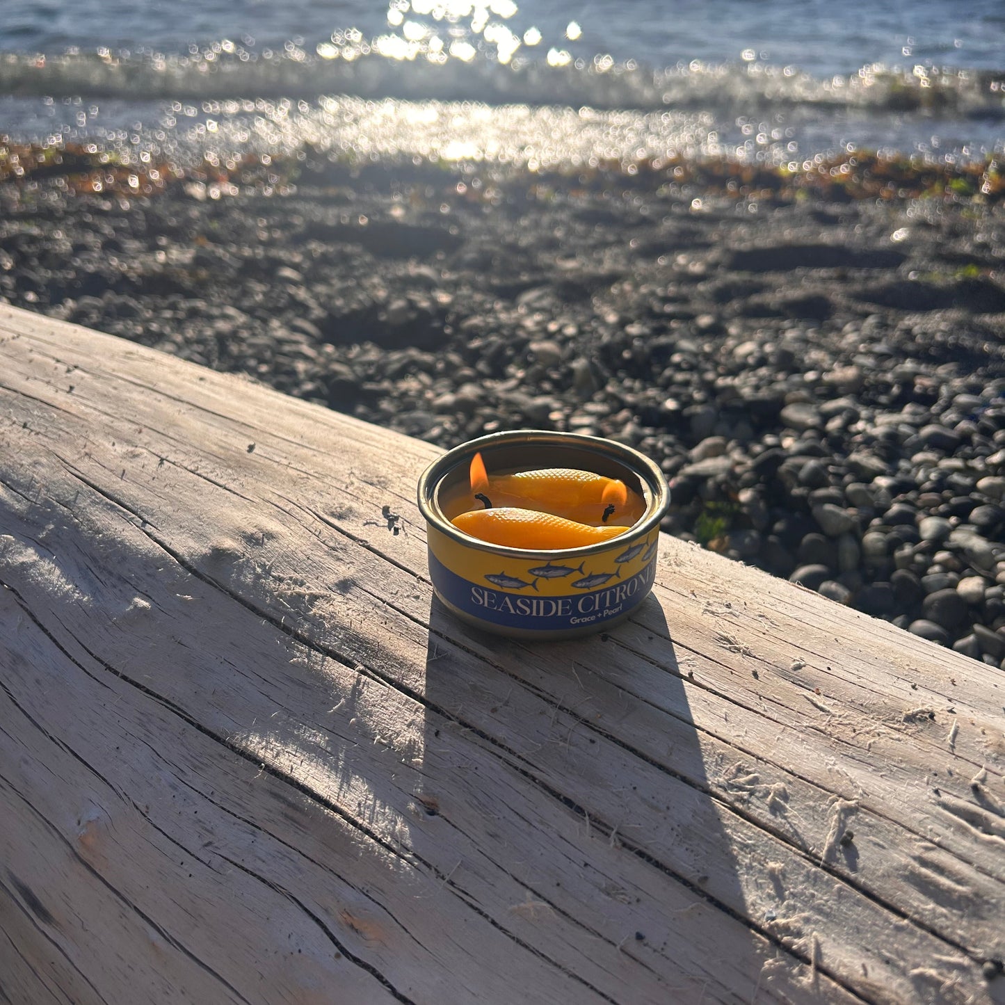 Seaside Citronella